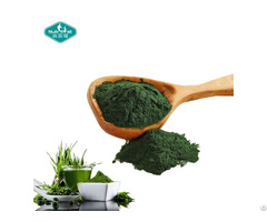 Gmp Factory Spirulina Powder