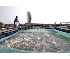 Catfish Feed Pellets Production Process