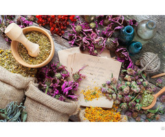 Buy Organic Herbs