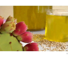 The Prickly Pear Seed Oil Wholesale