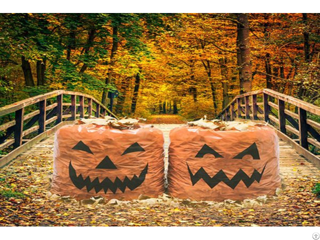 Halloween Leaf Bags