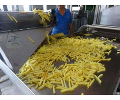 Small Frozen French Fries Processing Business