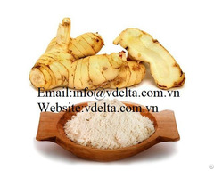 High Quality Galangal Powder Vdelta