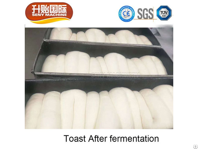 Sy 403 Industrial Commercial Double Door Bread Fermentation Machine