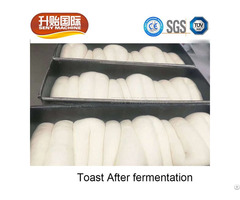 Sy 403 Industrial Commercial Double Door Bread Fermentation Machine
