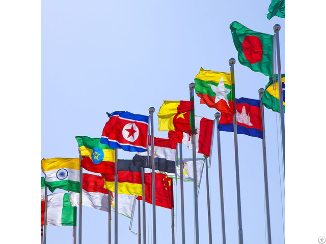 Novelty Flag 3x5ft Polyester Flags