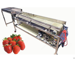 Orbital Type Fruit Sorting Machine