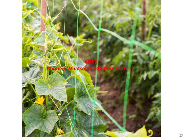 Plastic Trellis Plant Support Net