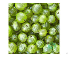 Agrilinks Frozen Gooseberry