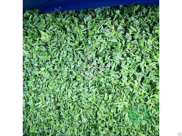 Frozen Parsley