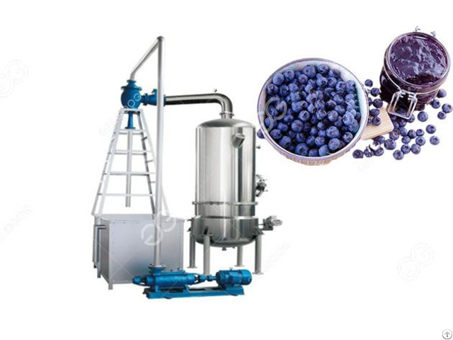 Blueberry Paste Concentrator Machine