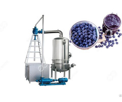 Blueberry Paste Concentrator Machine