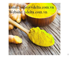 Vietnam High Quality Turmeric Powder