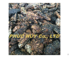 Dried Noni Fruit From Trusted Supplier In Vietnam