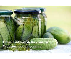 Pickled Cucumber Vietnam