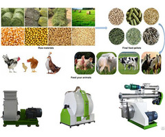 Animal Feed Machine Pellet Making Machinery On Sale