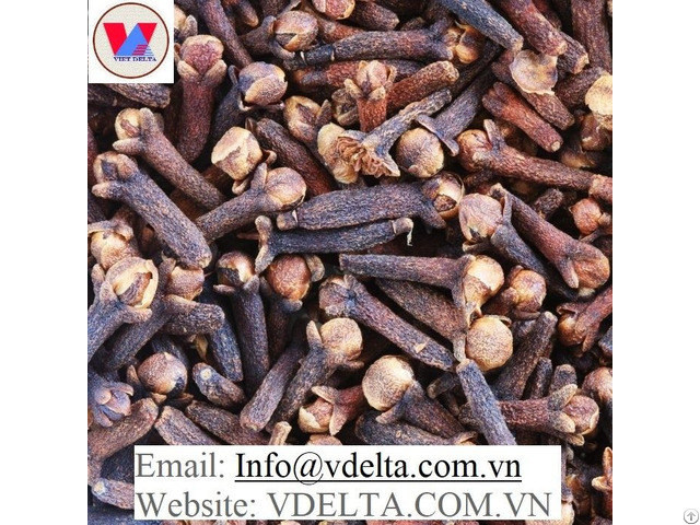 Organic Dried Cloves From Viet Nam