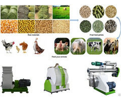 The Best Animal Feed Pellet Machine On Sale