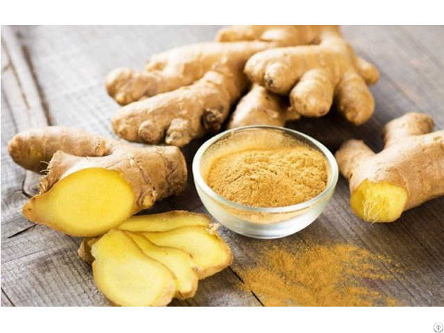 Fitaky Ginger Powder Wholesale Price