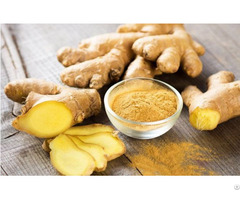 Fitaky Ginger Powder Wholesale Price