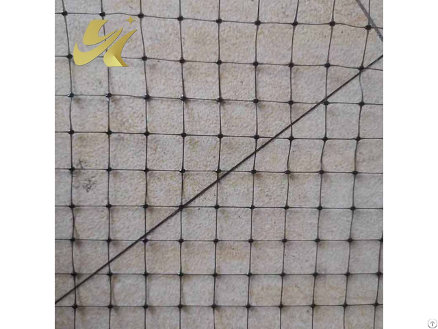 Plastic Mesh Supplier In China