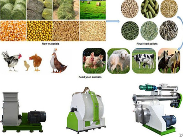 Chicken Feed Pellet Mill For Farm Use