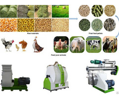 Chicken Feed Pellet Mill For Farm Use