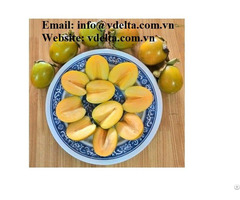 High Quality Fresh Persimmon Vdelta