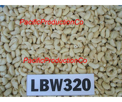 Cashewnut Kernels Lbw320