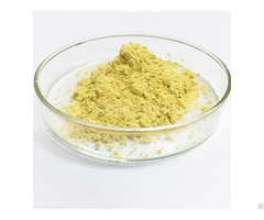 High Purity Rosmarinic Acid