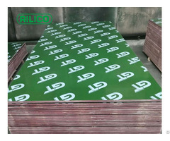 4x8 Green Plywood