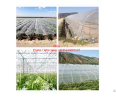 Cheap Plastic Nets Anti Insect Net