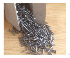 Wholesale Common Nails