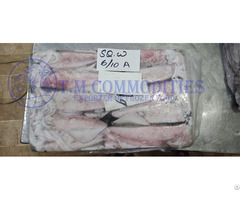 Frozen Loligo Squid Tm Commodities