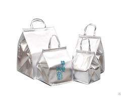 Silver Metallic Cooler Bag