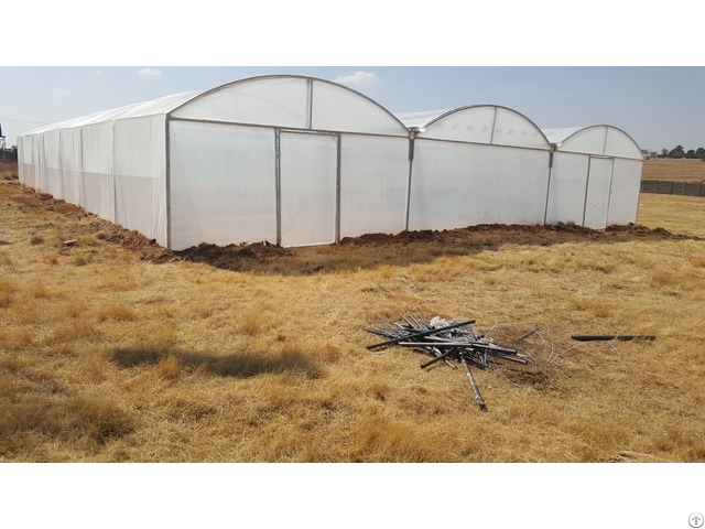 Vegetable Tunnels Sunrise Agri Farm