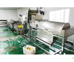 Fully Automatic Pomegranate Juicer Machine In Pakistan