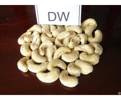 Vietnamese Cashew Kernels Dw