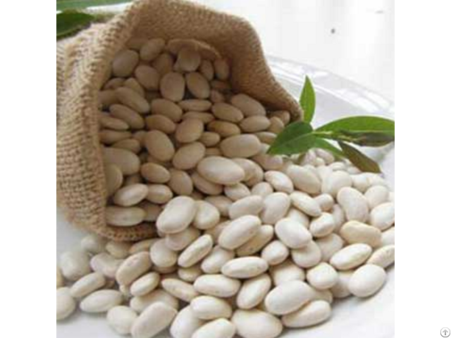 White Kidney Bean Extract