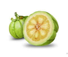 Garcinia Cambogia Extract