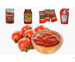 Italian Tomato Paste Production Line