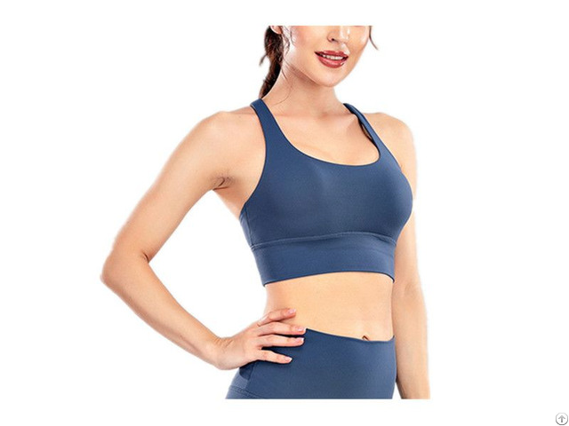 Basic Fitness Activewear Sports Bra