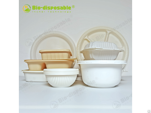 Biobased Plastic Food Container