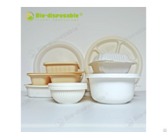 Biobased Plastic Food Container