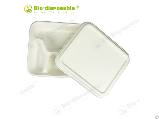 Sugarcane Pulp Bagasse Food Container