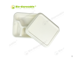 Sugarcane Pulp Bagasse Food Container