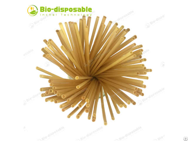 Bio Degrable Wheat Straw