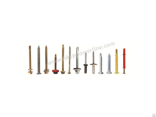 Many Different Self Drilling Screw