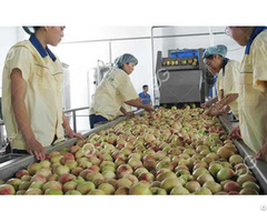 Support Customze Peach Juice Production Line