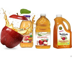 Good Performance Apple Juice Production Line